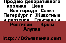 Продаю декоративного кролика › Цена ­ 500 - Все города, Санкт-Петербург г. Животные и растения » Грызуны и Рептилии   . Крым,Алупка